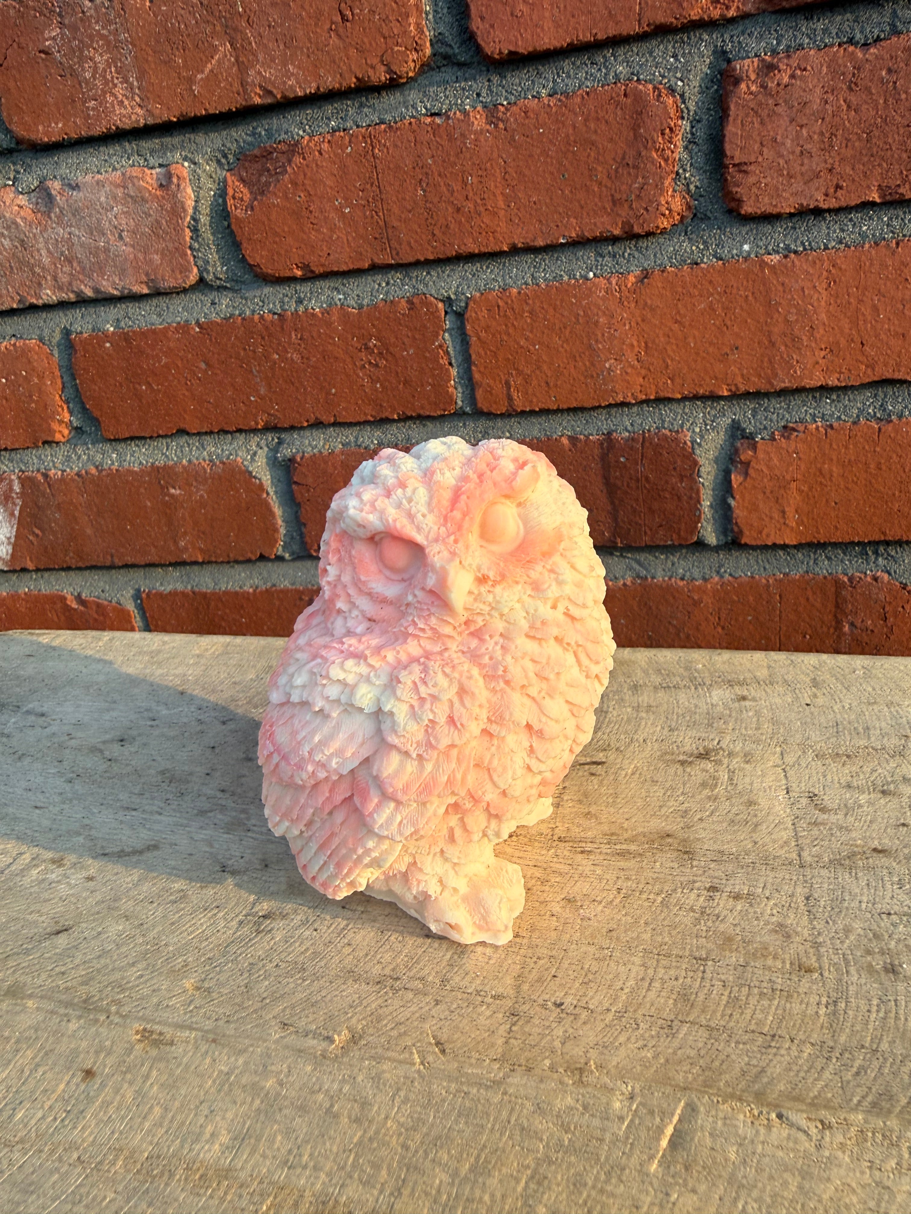 Custom Owl Soaps