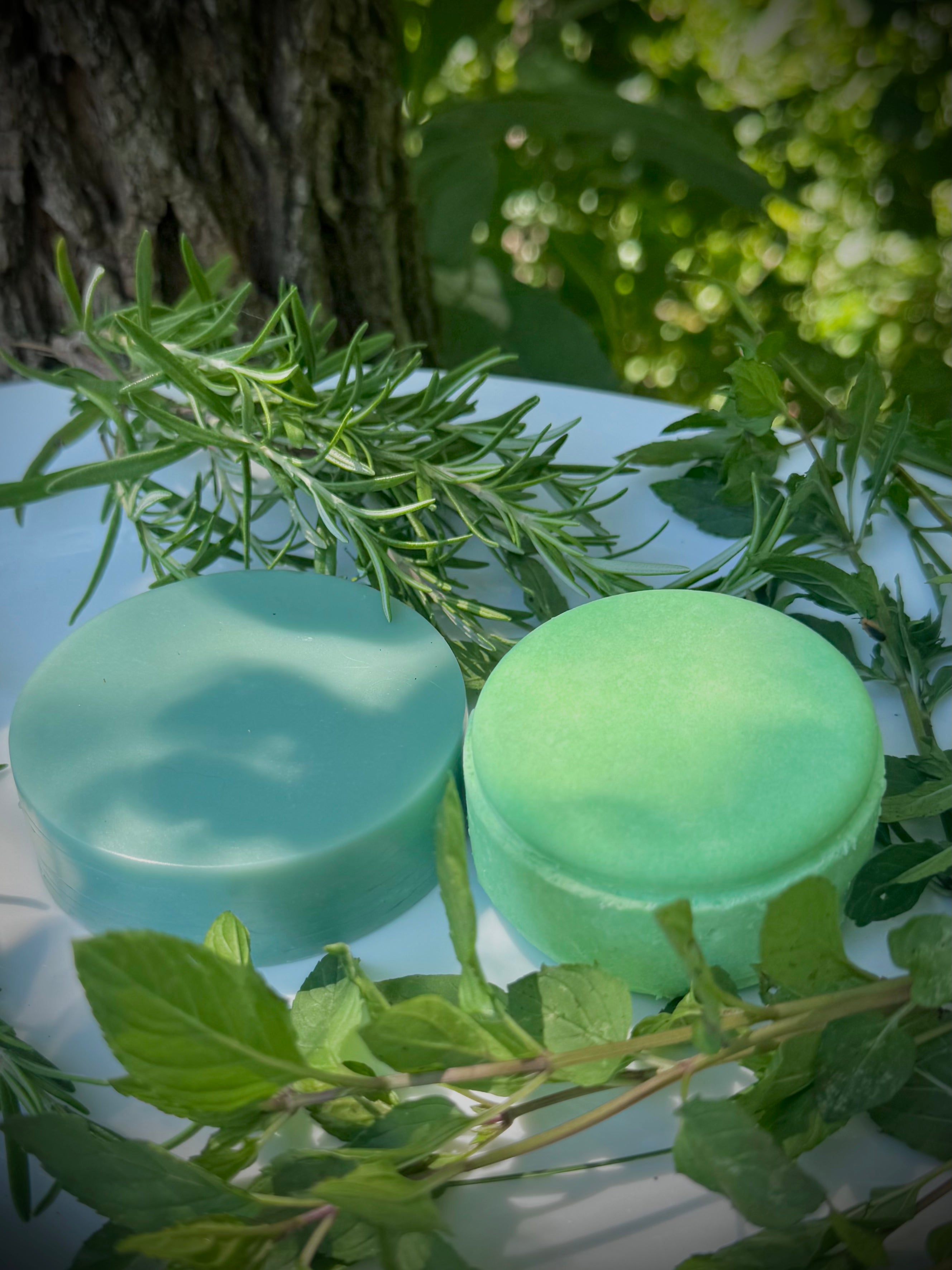 Mango Butter Conditioner Bar (and Shampoo/Conditioner sets)