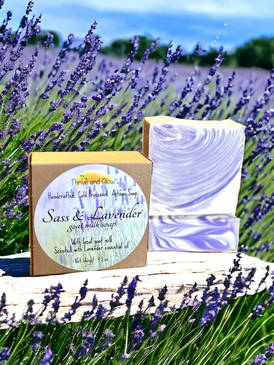 Sass & Lavender goat milk soap