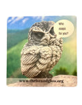 3 X 3 Soap Owl Magnet
