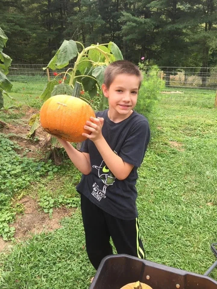Pumpkin & Oatmeal (with pumpkin purée, ground oats, and maple syrup)